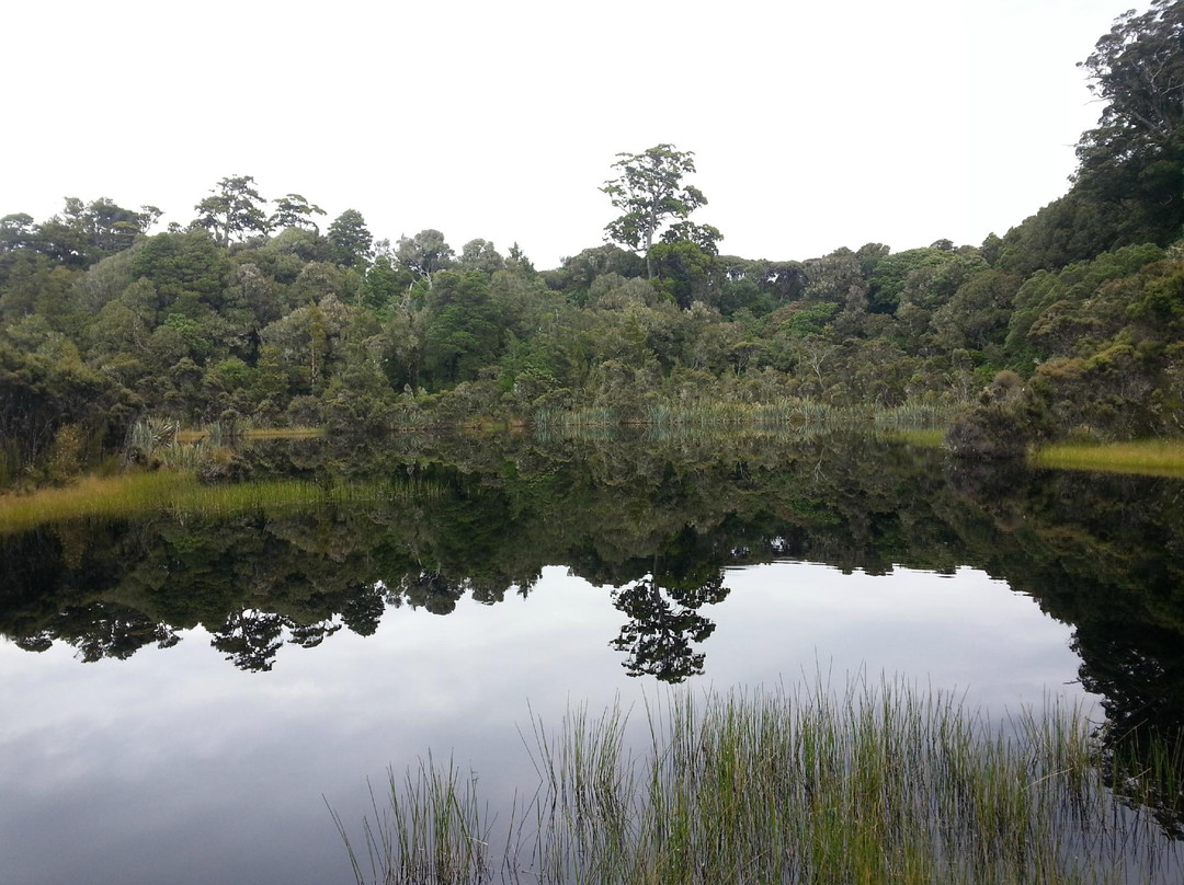 Lake Wilkie景点图片
