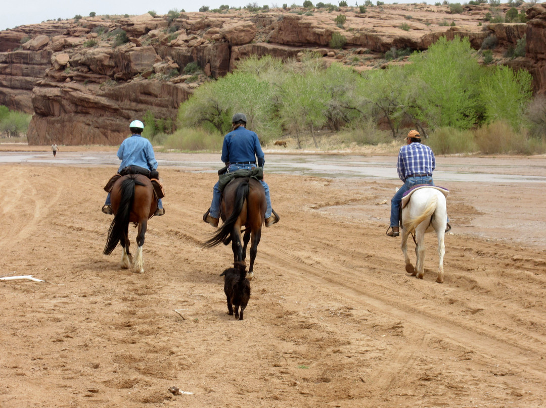 Justin's Horse Rental-Chinle必去景点