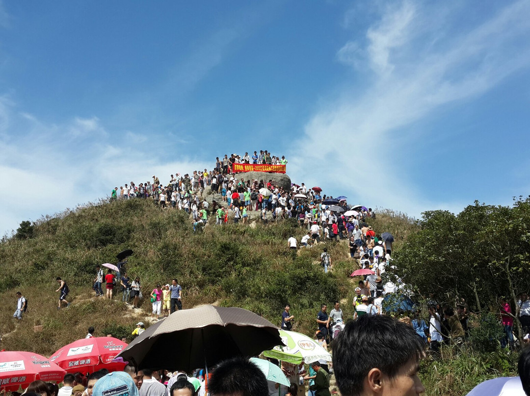 梧桐山景点图片