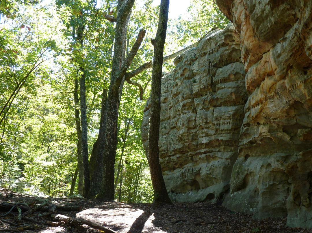 Rocktown Trail景点图片