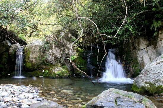 神农顶国家自然保护区-神农架林区必去景点