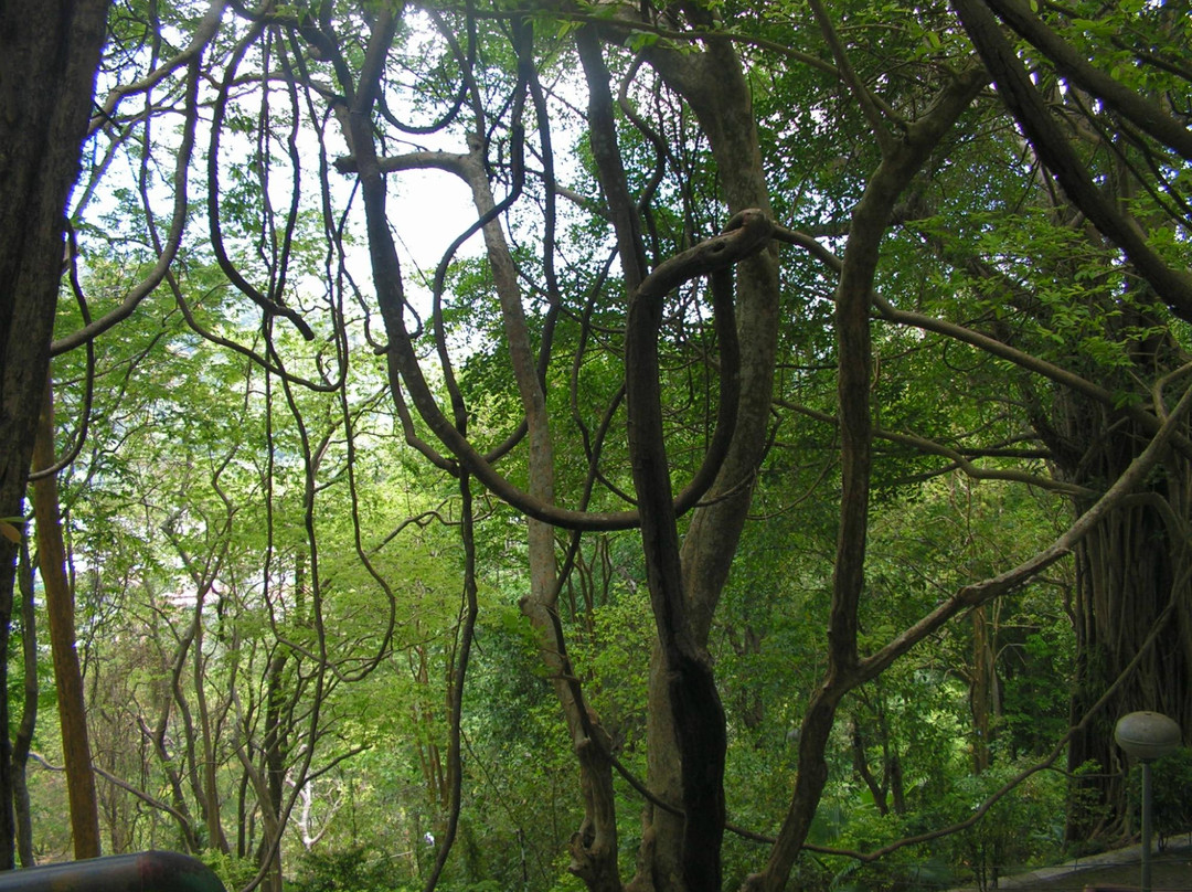 后山观景台-普吉镇必去景点