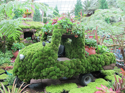 花穹-新加坡必去景点