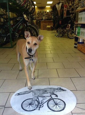 City Bike Tampa-坦帕必去景点