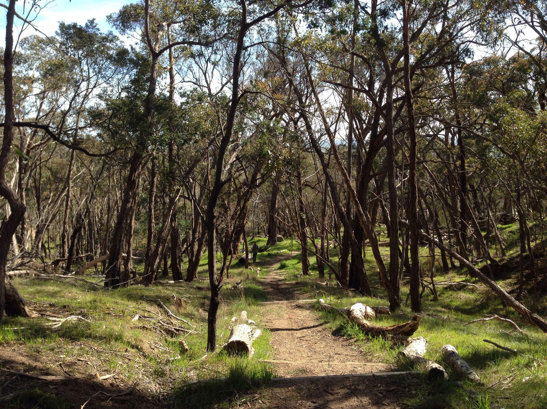 凯尼顿旅游景点-Blackhill Reserve
