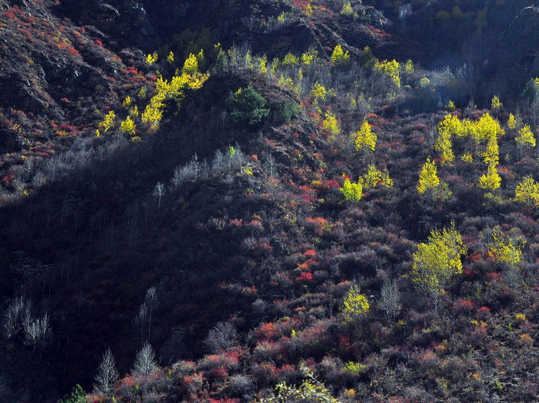 拉姆拉错湖-加查县必去景点