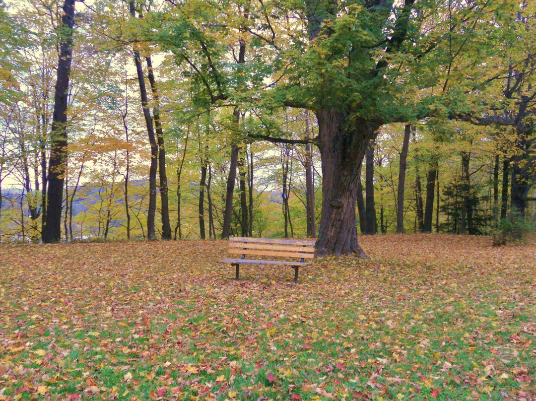 Brattleboro Common-布拉特尔伯勒必去景点