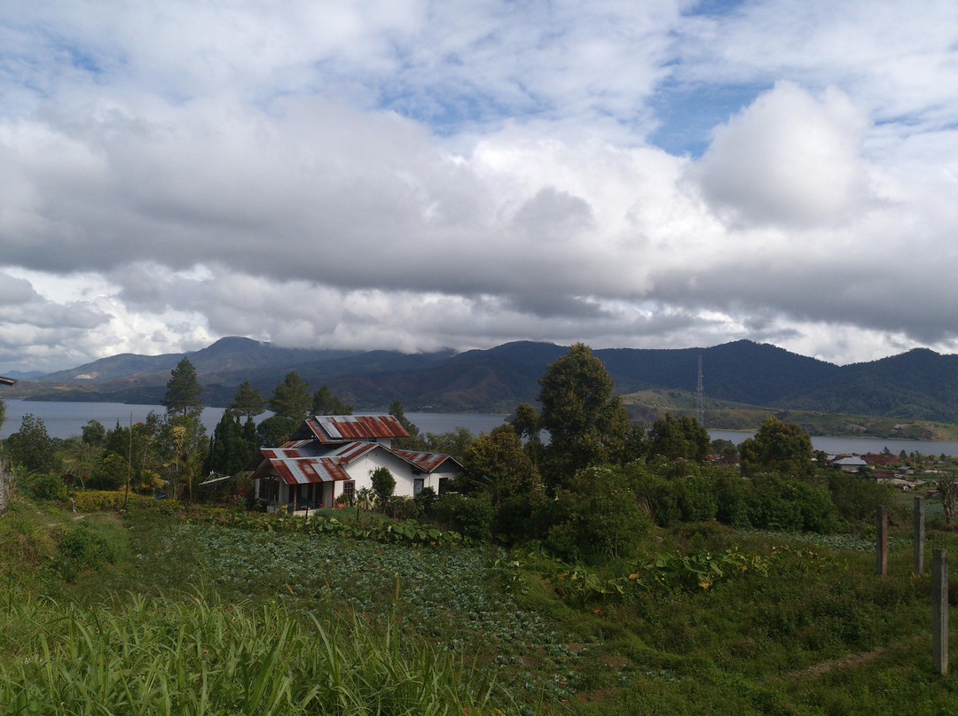 Danau Diatas-Painan必去景点