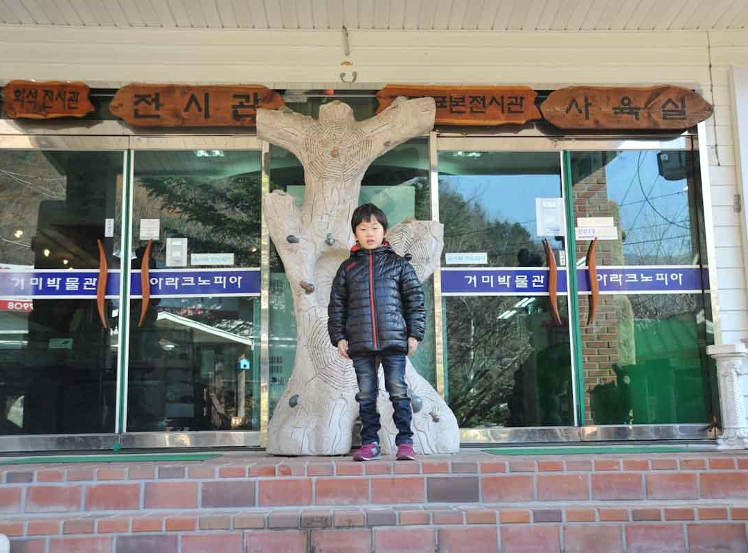 Jupil Spider Museum-南杨州市必去景点