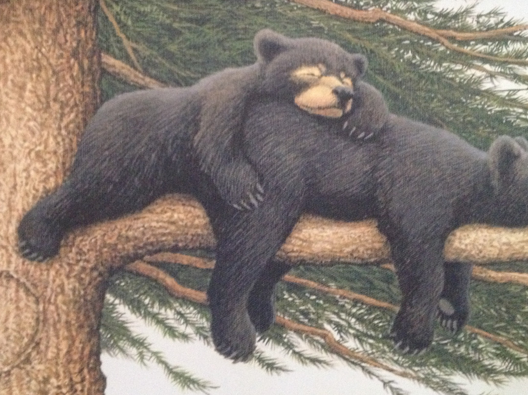 Greenehaven酒店住宿-The Bear's Den B&B