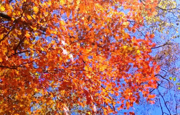 丹东天华山-宽甸满族自治县必去景点