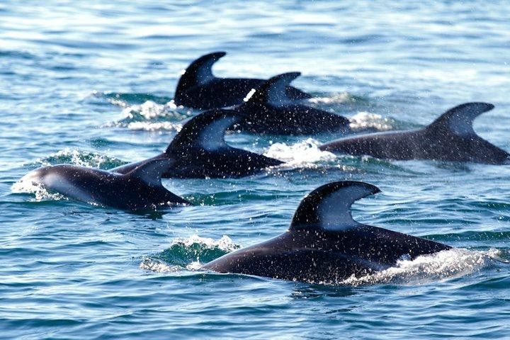 圣地亚哥帆船之旅-圣地亚哥必去景点
