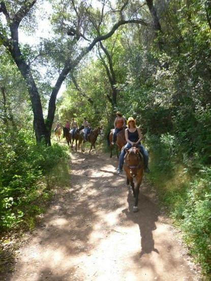 Ojai Valley Trail Riding Company-奥海必去景点