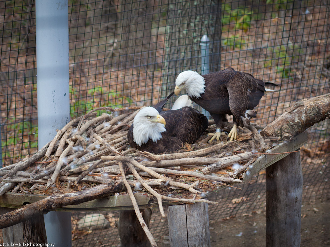 EcoTarium-伍斯特必去景点