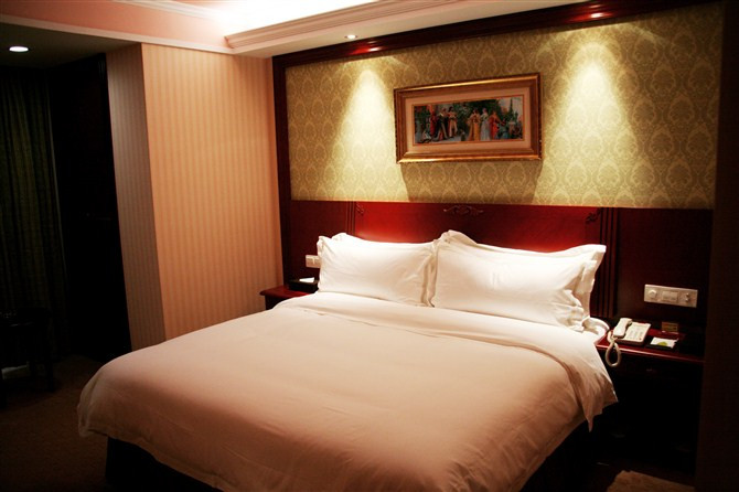 太仓维也纳国际酒店南洋广场店主图