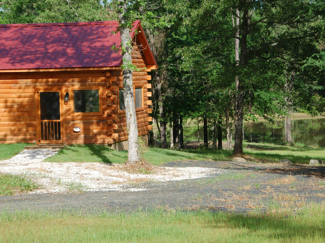 Remember When Cabins
