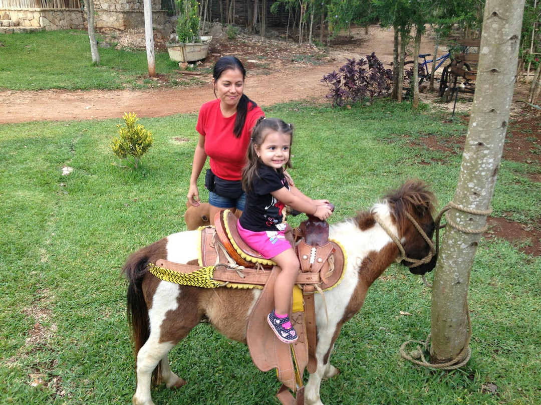 Ecopark Xtut-Temozon必去景点