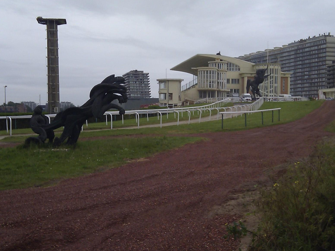 Wellington Racetrack (Wellington Renbaan)