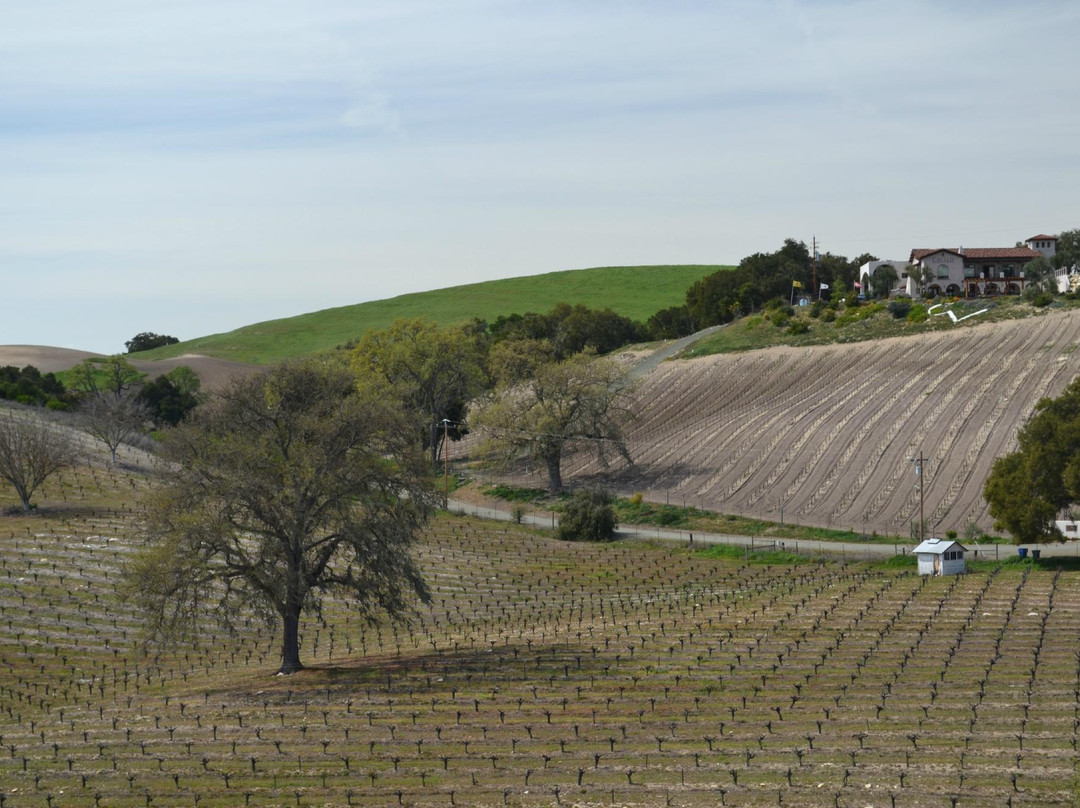 AronHill Vineyards景点图片