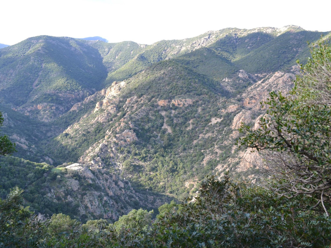 Monte Arcosu景点图片