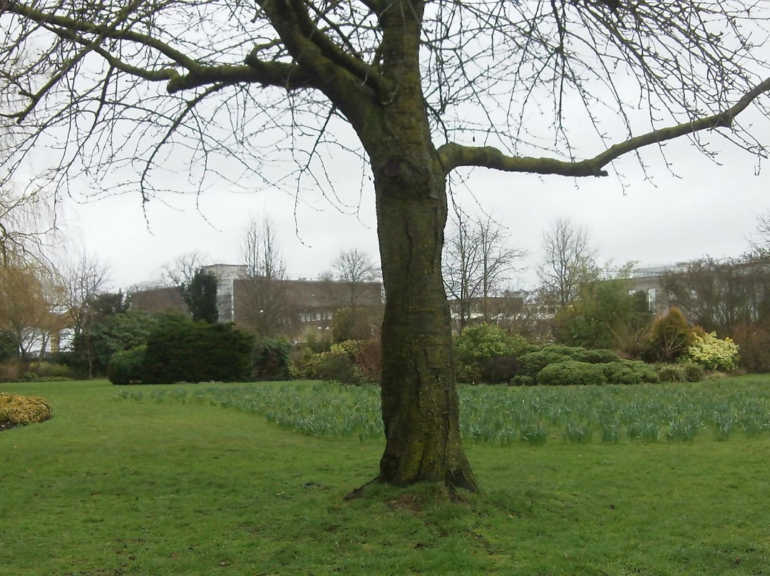 Crawley Memorial Gardens景点图片