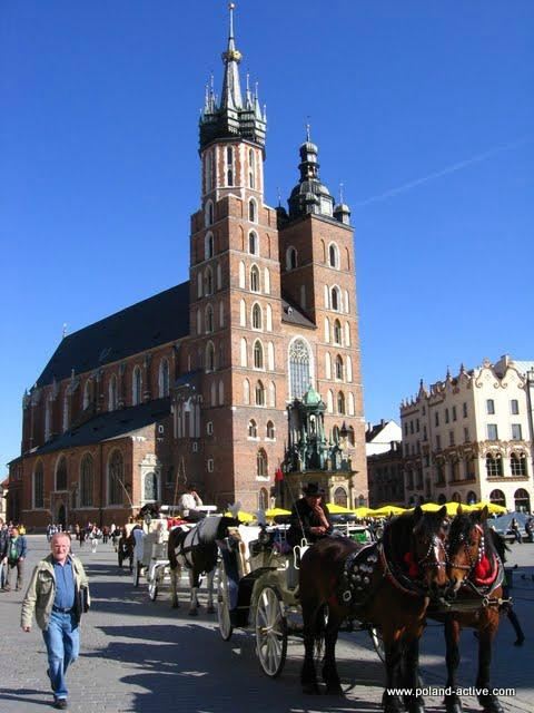 Poland Active - Day Tours景点图片