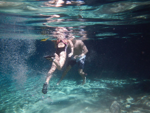 Florida Eco-Adventures- Day Tours-坦帕必去景点