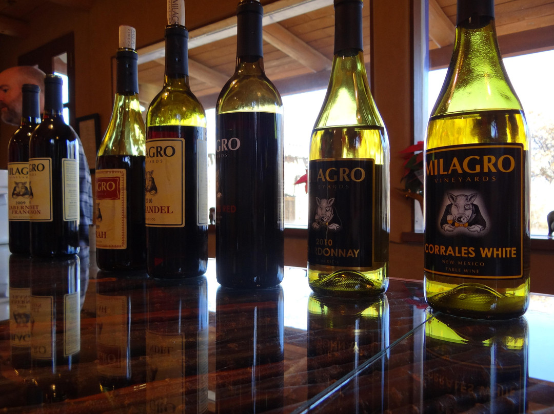 New Mexico Wine Tours-圣菲必去景点