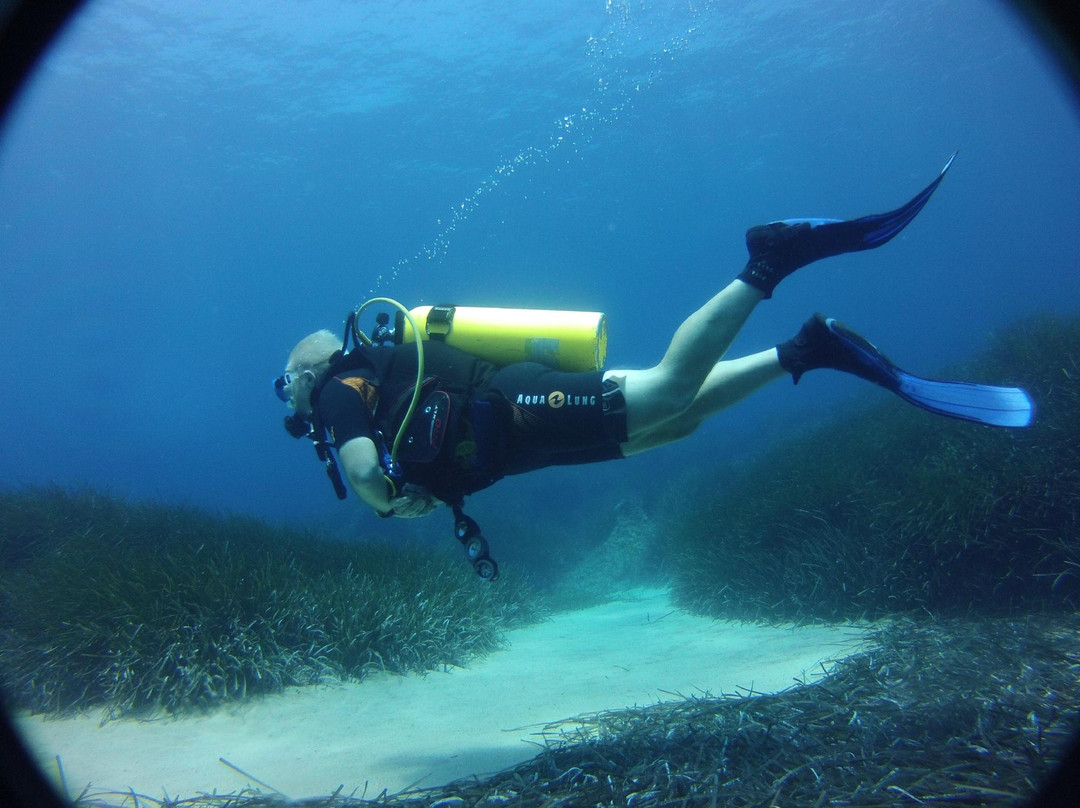 Marine Divers-帕福斯必去景点