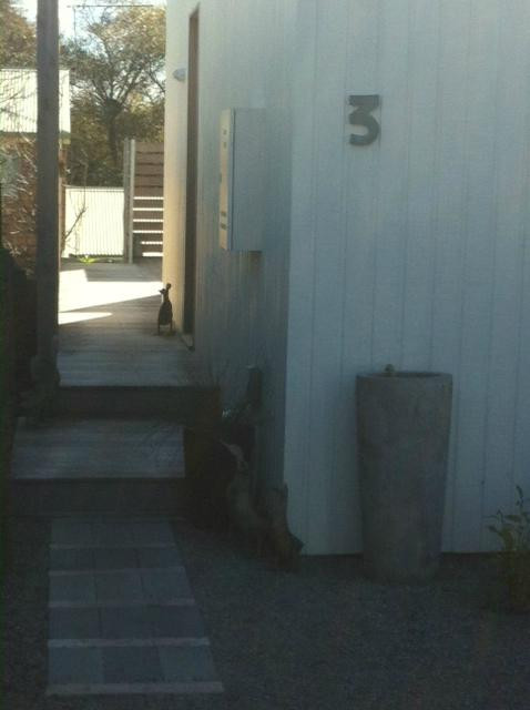 Peartree Pavilions主图