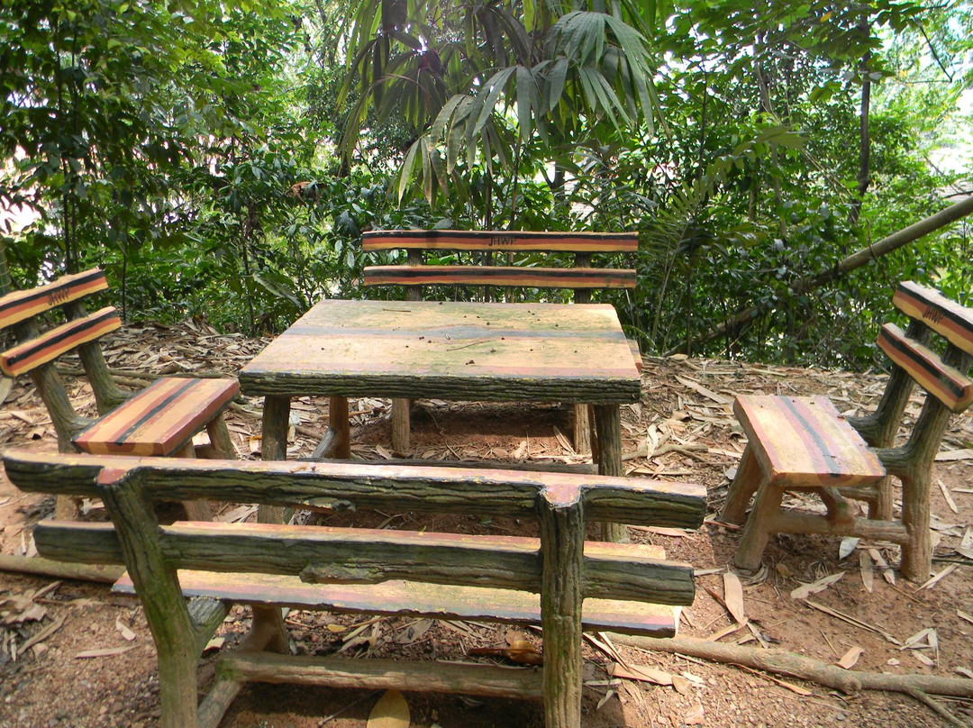 咖啡山森林保护区-吉隆坡必去景点