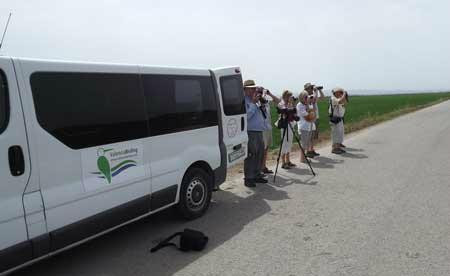 Valencia Birding Birdwatching Tours-巴伦西亚必去景点
