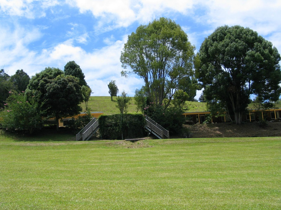 Mt Warning Forest Hideaway
