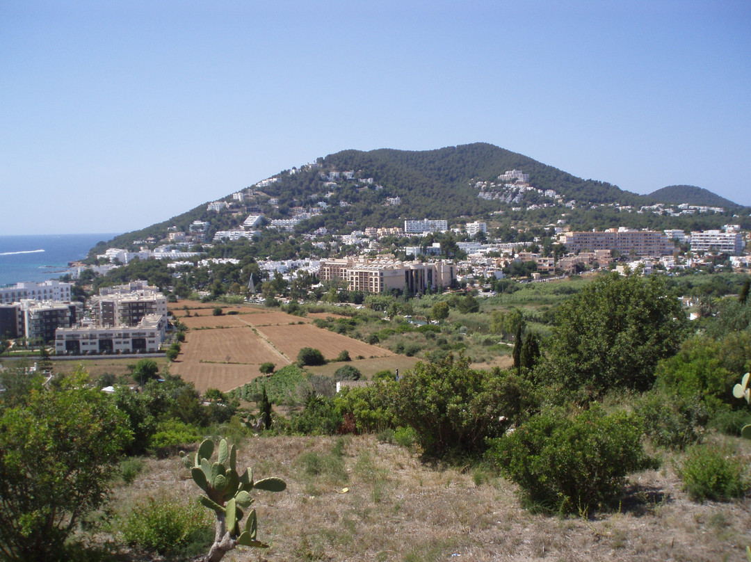 Puig de Missa景点图片