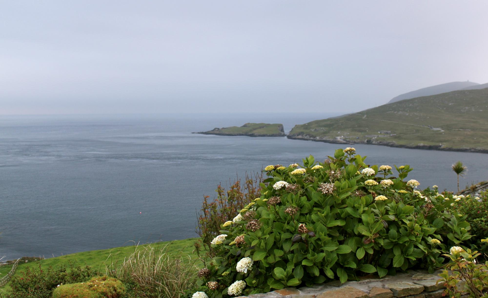 Windy Point House Bed & Breakfast-酒店景观