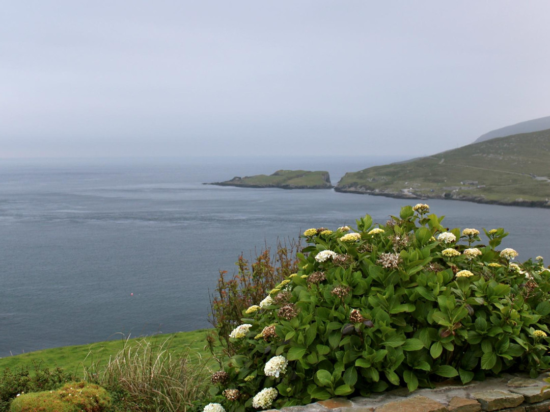 Windy Point House Bed & Breakfast主图