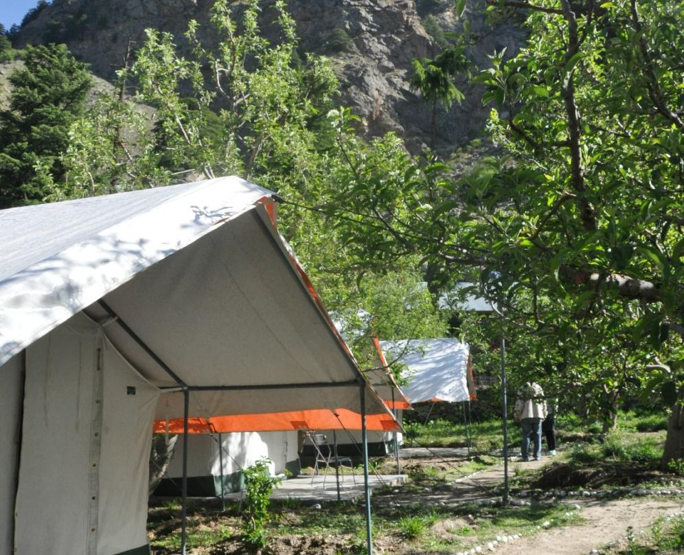 Apple Orchard Farm and Camping主图