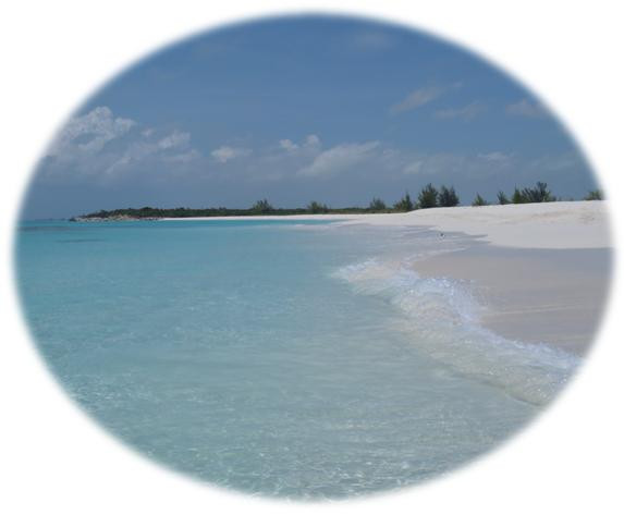 Provo Real Deal Day Tours-Turtle Cove必去景点