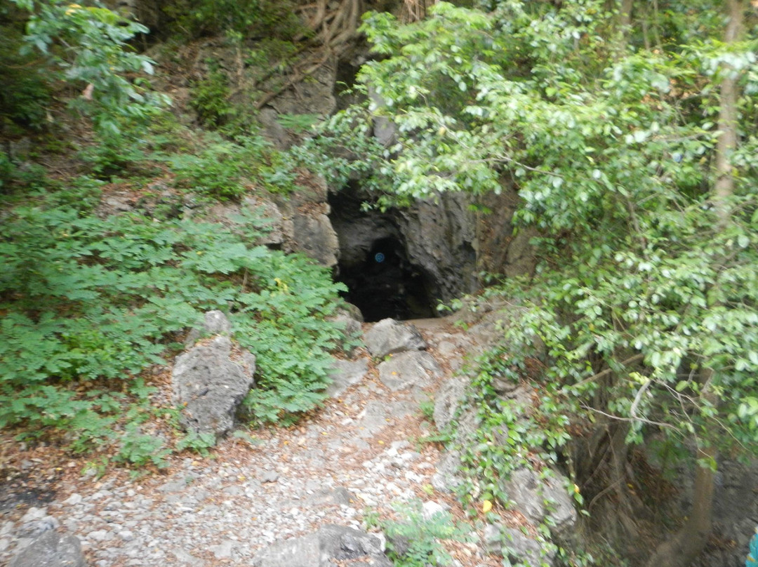 Battambang Bat Caves-马德望必去景点