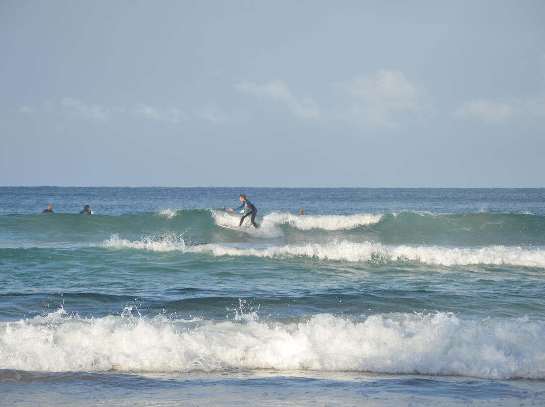 曼利海滩-悉尼必去景点
