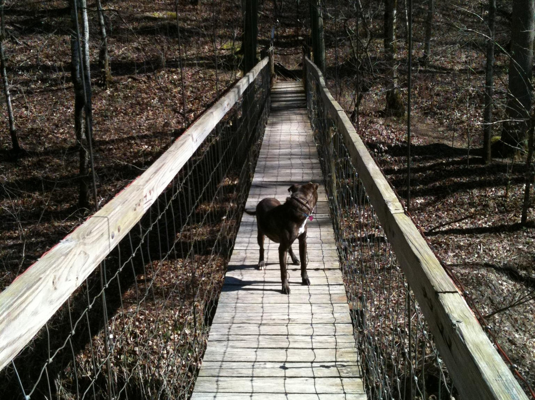 Daniel Boone National Forest-Winchester必去景点