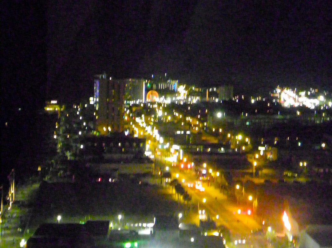 SkyWheel Myrtle Beach-美特尔海滩必去景点