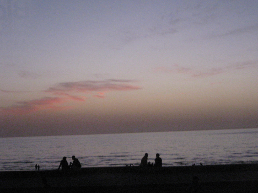 蒙得维的亚兰布拉大道-蒙得维的亚必去景点