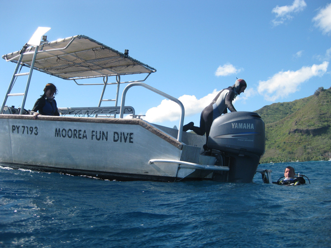 Moorea Fun Dive-Hauru必去景点