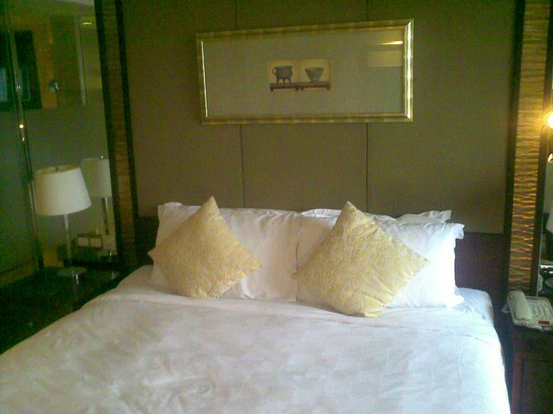 泰合索菲特大饭店主图