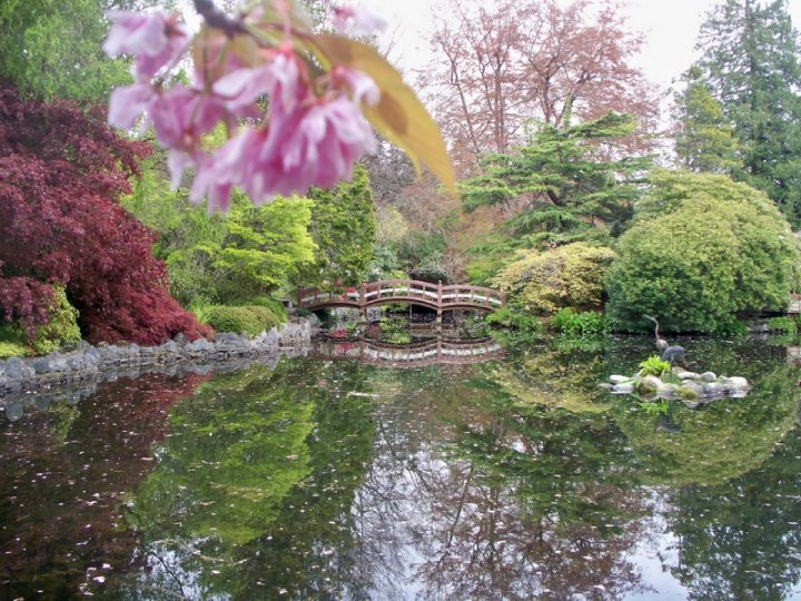 Hatley Park National Historic Site景点图片