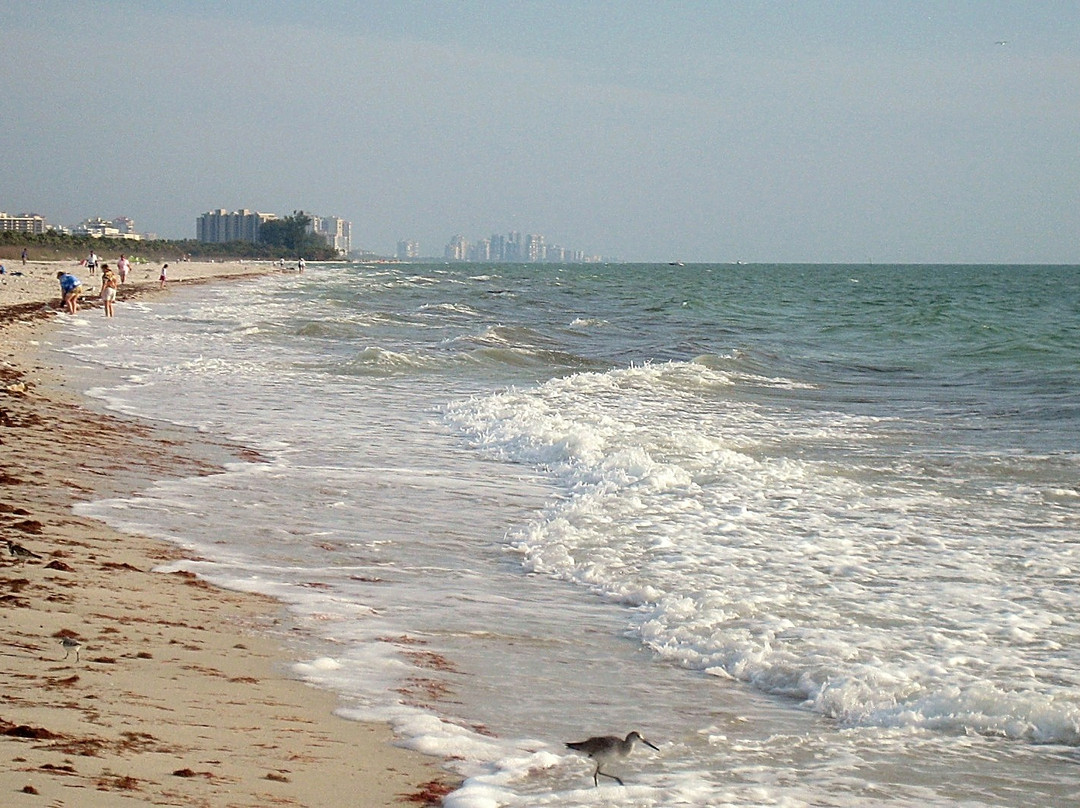 Barefoot Beach Preserve-博尼塔斯普林斯必去景点