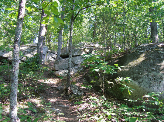 Panola Mountain State Park-Stockbridge必去景点