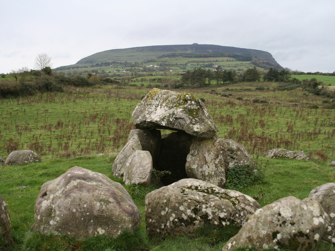 Carrowmore Megalithic Cemetery-斯莱戈必去景点