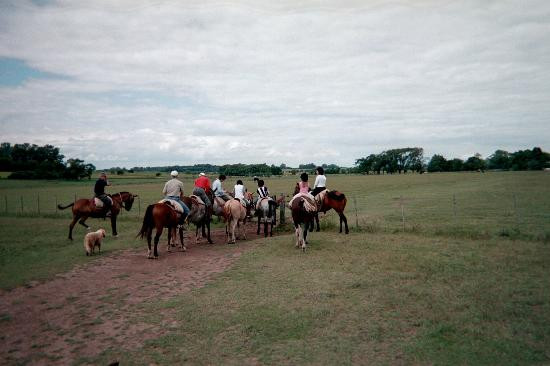 Estancia Los Dos Hermanos景点图片